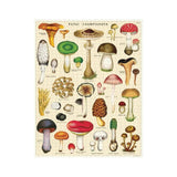 Cavallini Pilze Puzzle, 1000 Stück