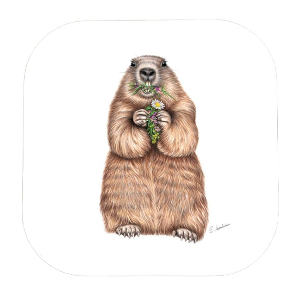 creanorm Untersetzer Murmeltier, 9 x 9 cm