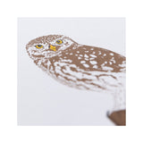 KoBold Manufaktur Faltkarte Steinkauz