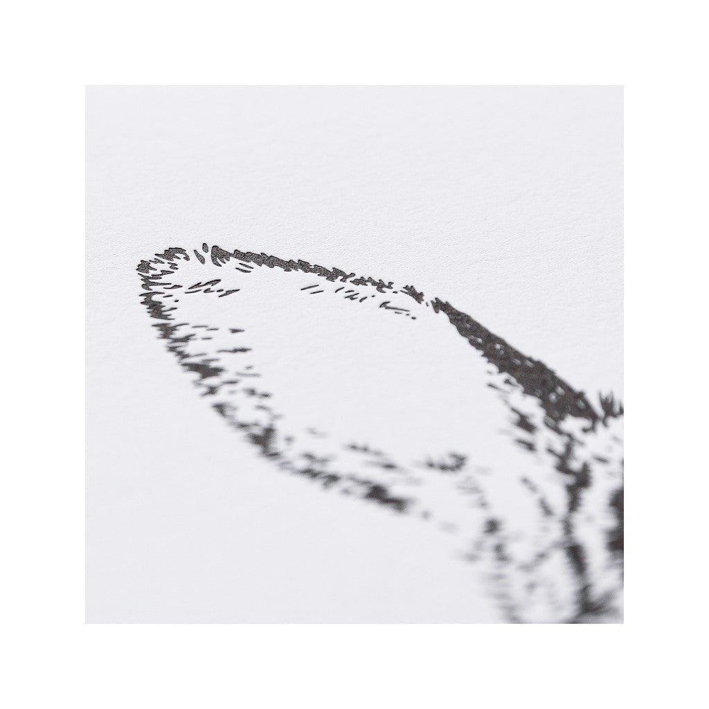 KoBold Manufaktur Faltkarte Kaninchen