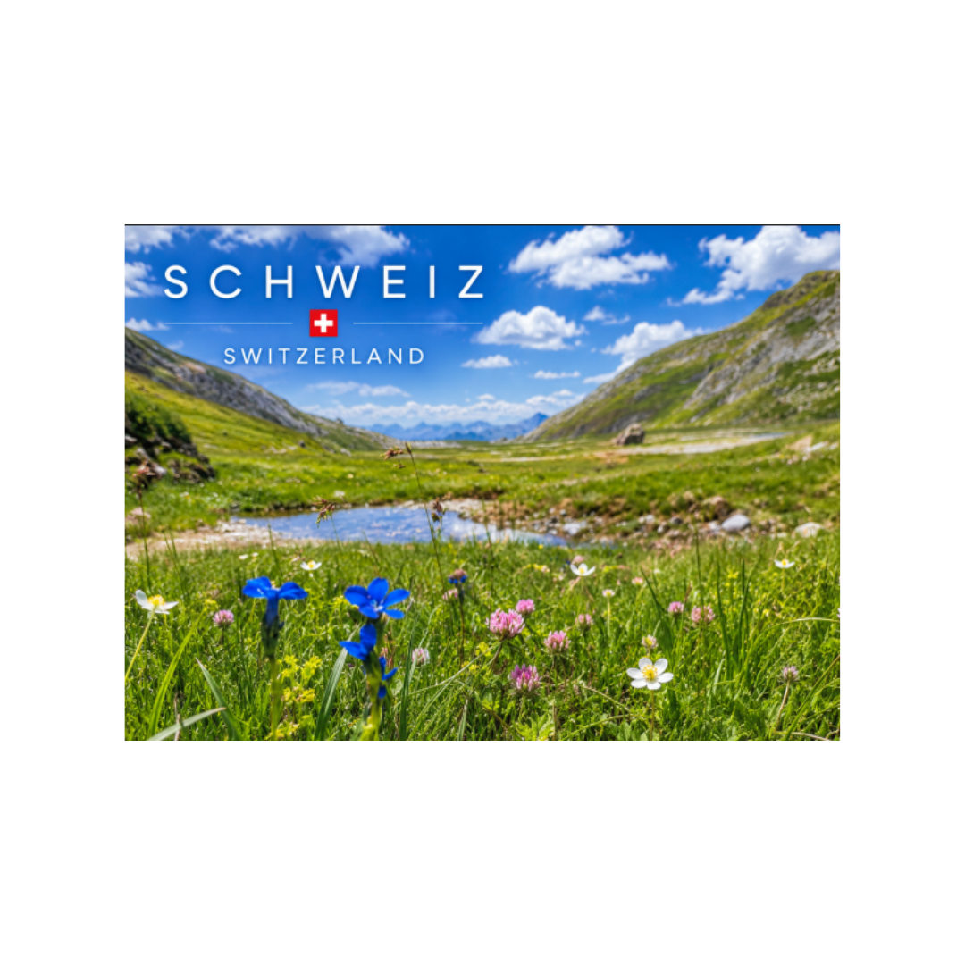feinedinge Postkarte Sardona, Alpenblumen