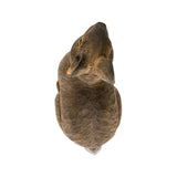 WILDLIFE GARDEN Figur Hase