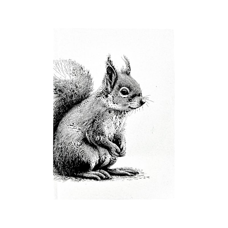 mumix Notizbuch A5, Eichhörnchen
