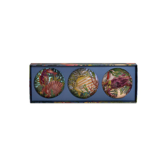 Granado Deep Sea Wonder Seifen 3er Set